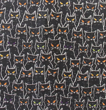 Load image into Gallery viewer, Black Cat Glare Face Mask