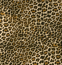 Load image into Gallery viewer, Leopard Face Mask