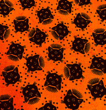 Load image into Gallery viewer, Spooky Luna Cat Face Mask