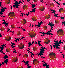 Load image into Gallery viewer, Pink Daisies Face Mask